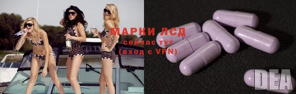 шишки Новодвинск