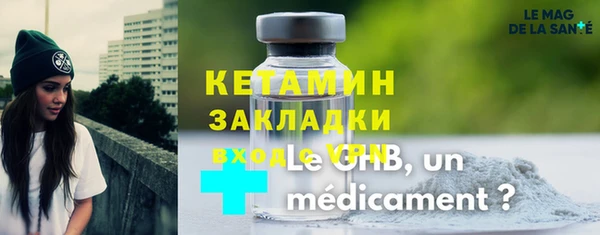 шишки Новодвинск