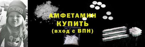 шишки Новодвинск
